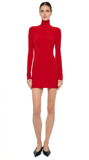 LONG SLEEVE TURTLENECK MINI DRESS #1 Thumbnail