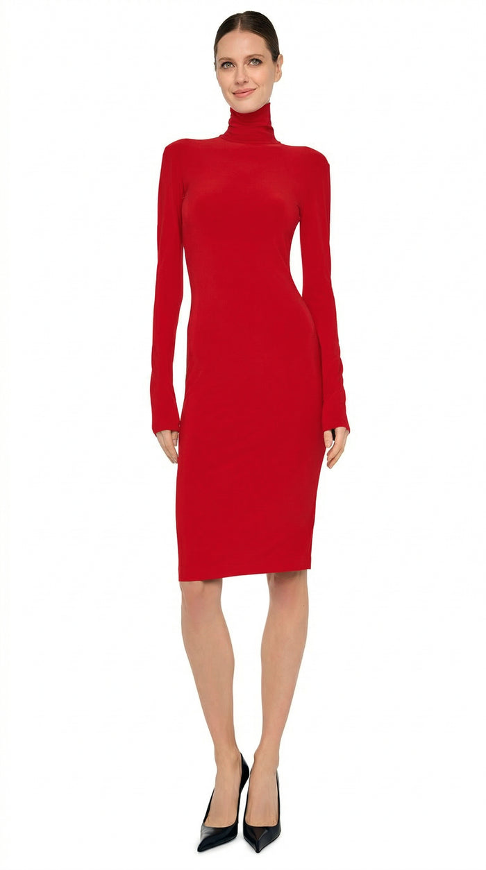 LONG SLEEVE TURTLENECK DRESS TO KNEE #1