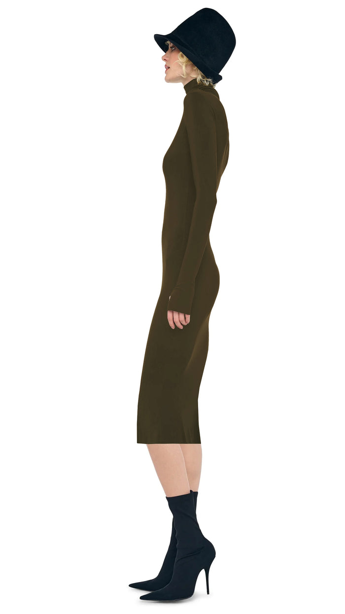 LONG SLEEVE TURTLENECK DRESS #2