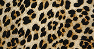 TURTLE FISHTAIL DRESS – Bb Leopard – Norma Kamali